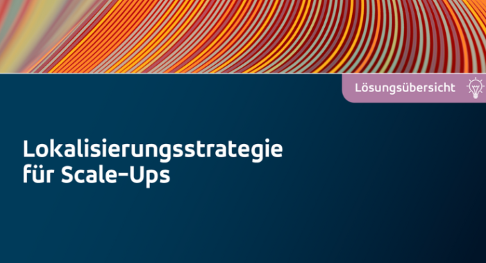 Lokalisierungsstrategie für wachstumsstarke Unternehmen