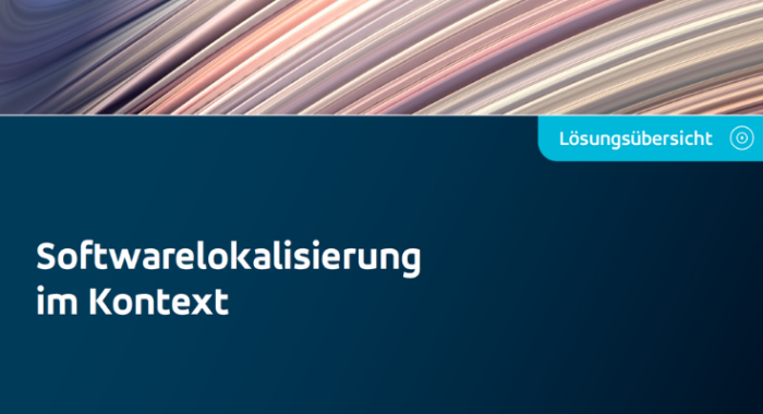 Softwarelokalisierung im Kontext
