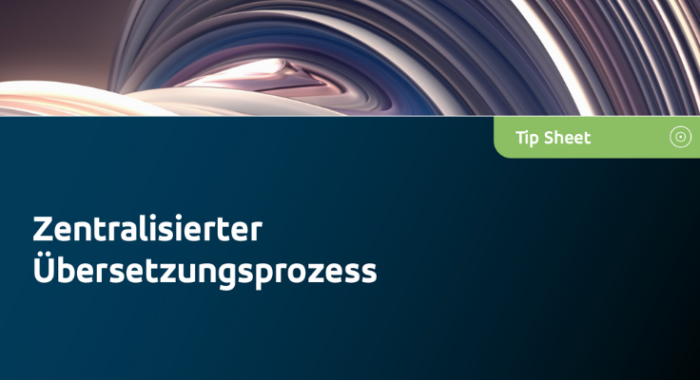 Zentralisierter Übersetzungsprozess